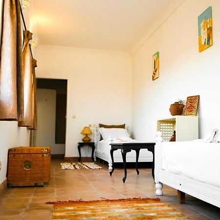 טרודאנט Riad Ahfir מראה חיצוני תמונה