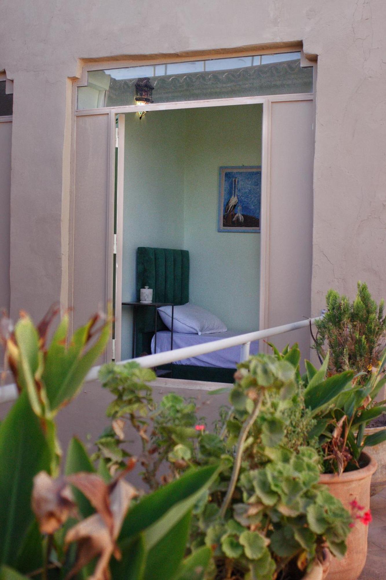 טרודאנט Riad Ahfir מראה חיצוני תמונה
