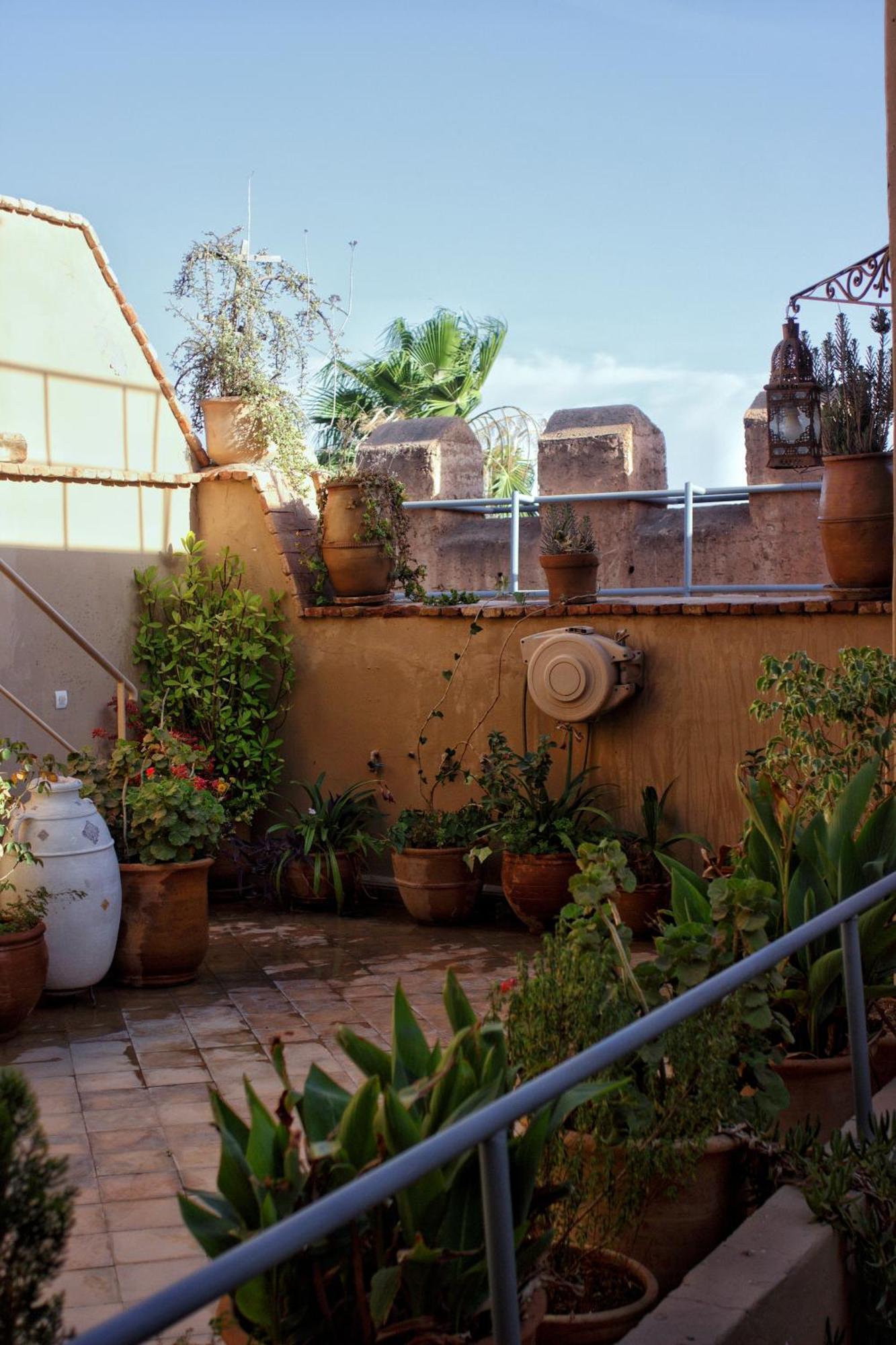 טרודאנט Riad Ahfir מראה חיצוני תמונה