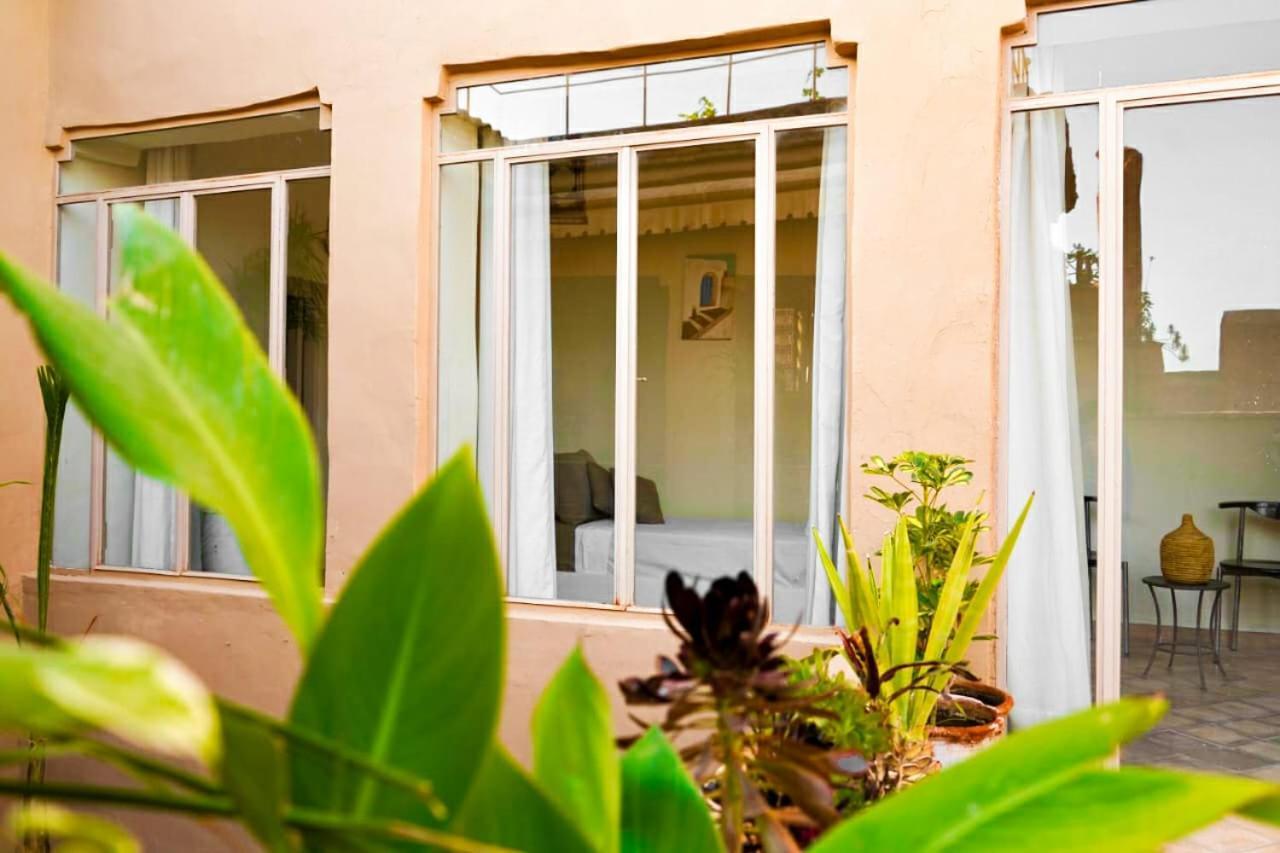 טרודאנט Riad Ahfir מראה חיצוני תמונה